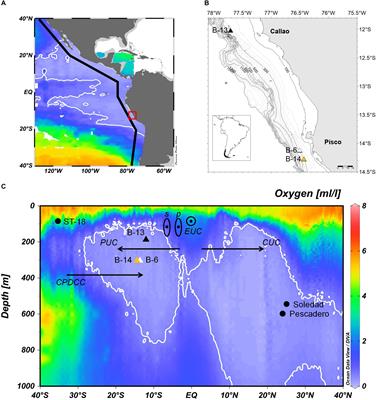 Multidecadal Changes in Marine Subsurface Oxygenation Off Central Peru During the Last ca. 170 Years